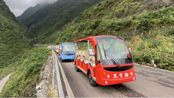 電動(dòng)觀光車上下坡和坡道停車時(shí)要注意什么？