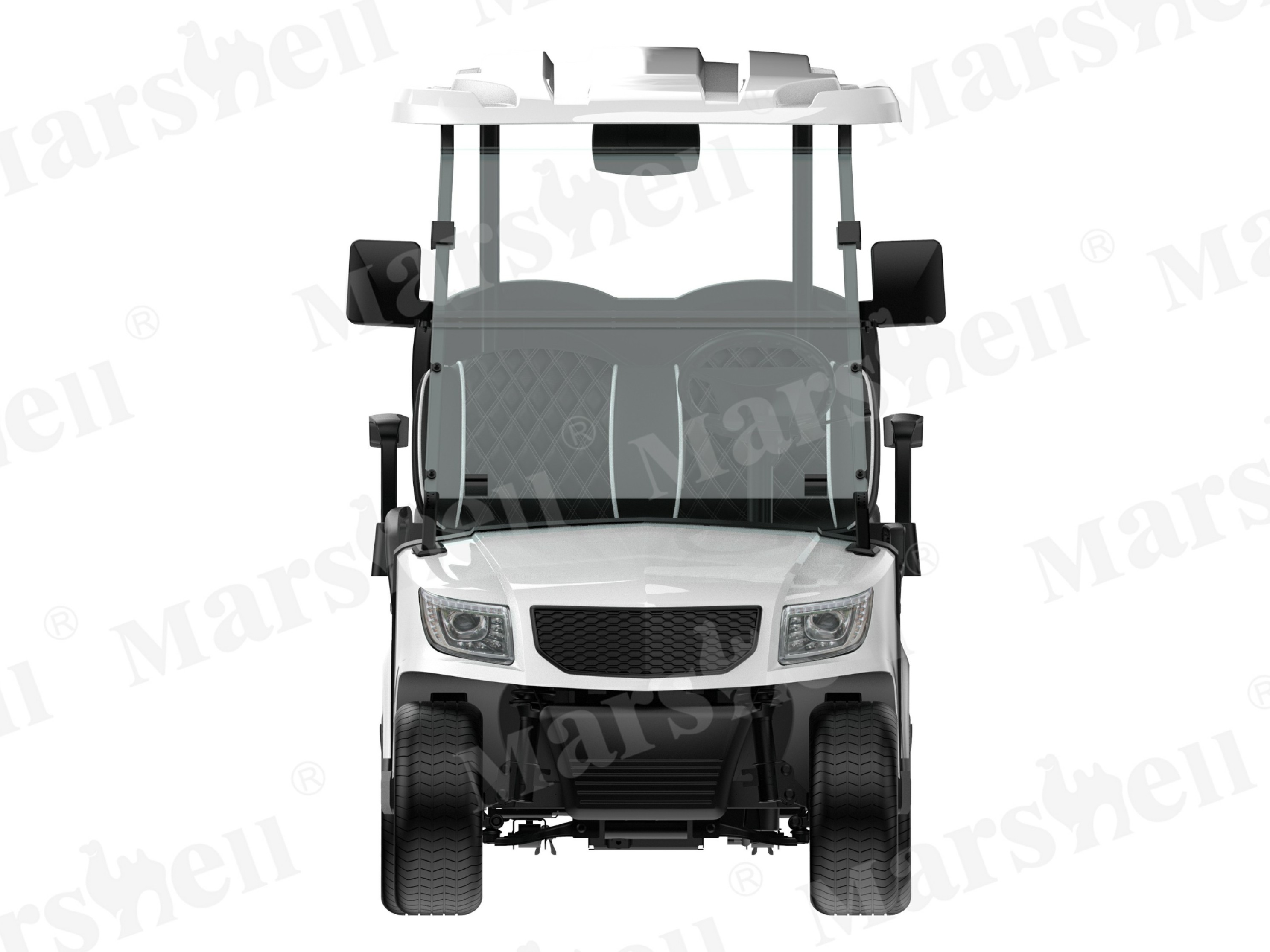 DG-M2+2 四座電動高爾夫球車 四座電動高爾夫球車