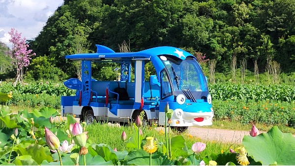 讓瑪西爾“海豚”觀光車帶您游山玩水吧！